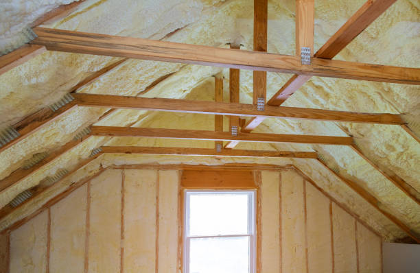 Best Insulation Removal  in Danville, CA